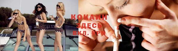 ГАЛЛЮЦИНОГЕННЫЕ ГРИБЫ Аркадак
