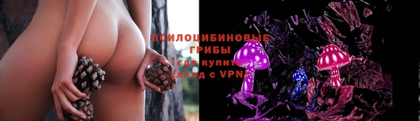 таблы Арсеньев