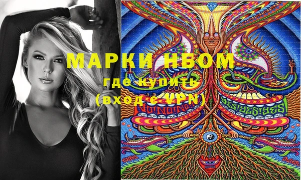 ГАЛЛЮЦИНОГЕННЫЕ ГРИБЫ Аркадак