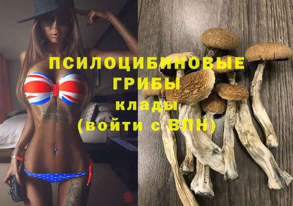 таблы Арсеньев