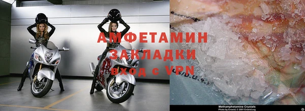 ГАЛЛЮЦИНОГЕННЫЕ ГРИБЫ Аркадак