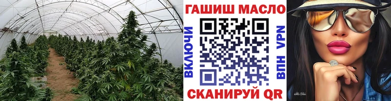 blacksprut как войти  Бирюсинск  ТГК концентрат 
