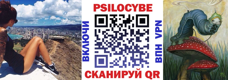 где купить   Бирюсинск  Галлюциногенные грибы Magic Shrooms 